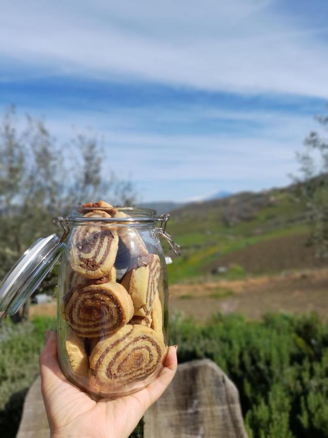 Agriturismo La Stragola Nicosia Kültér fotó