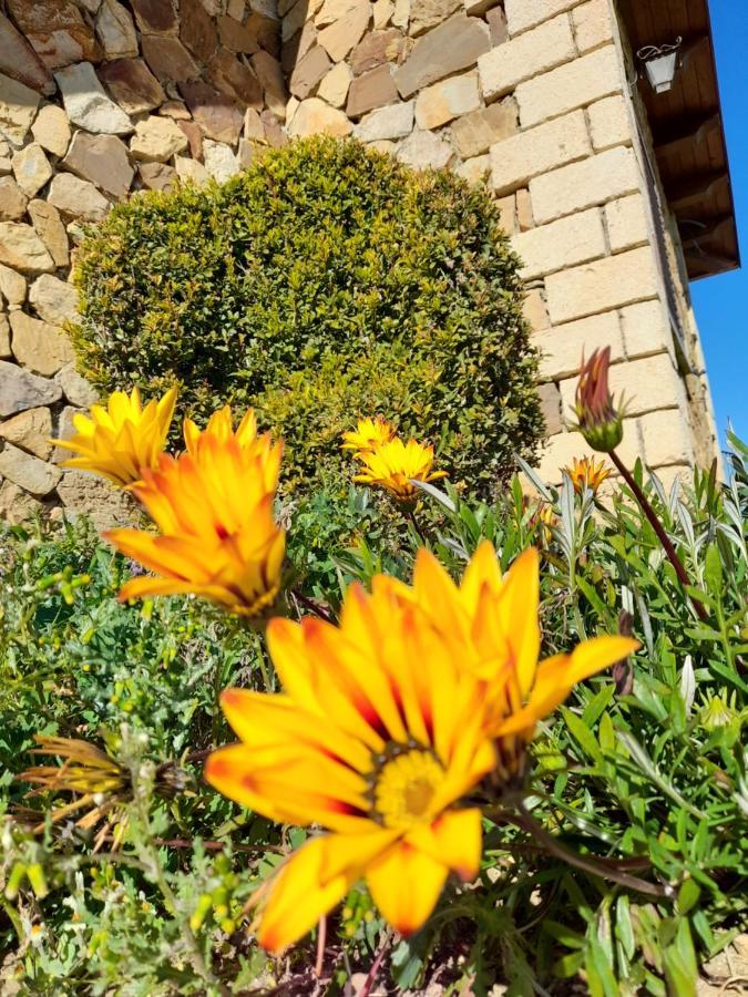 Agriturismo La Stragola Nicosia Kültér fotó