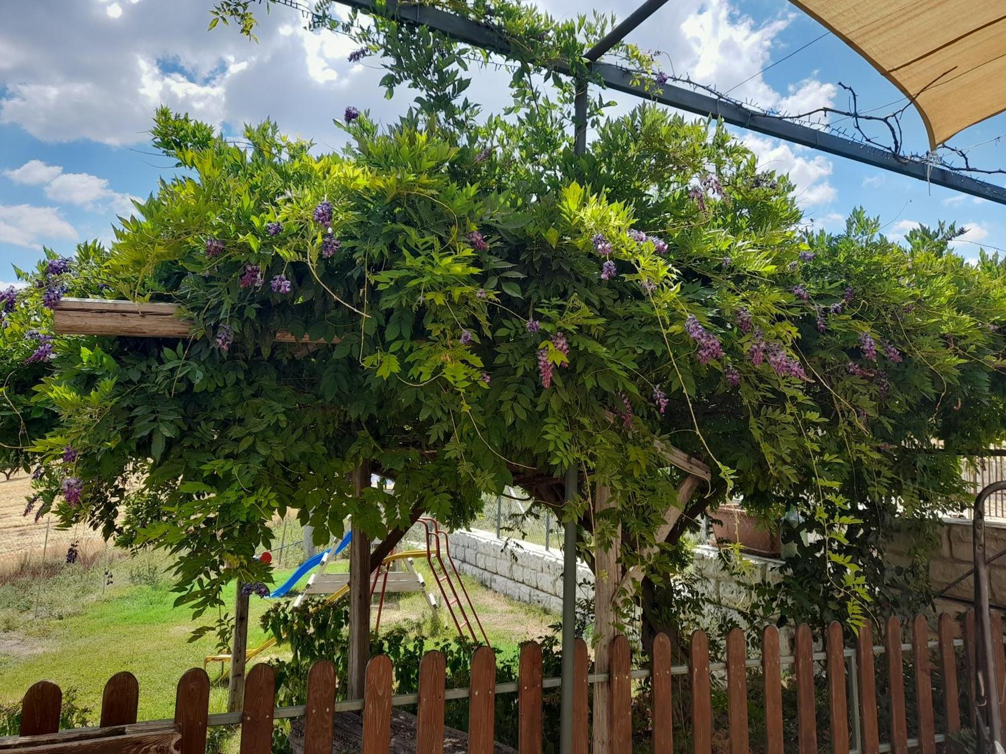 Agriturismo La Stragola Nicosia Kültér fotó